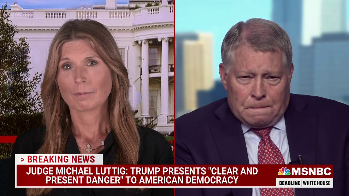 “If there’s one thing that I could tell the country today, it would be that the effort to overturn the 2020 presidential election was not and is not politics… These were grave crimes against the United States of America.” @JudgeLuttig #TrumpCoupAttempt