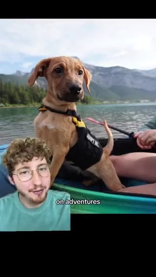 This is Adoption Adventures, a project by Rachael Rogers. Rogers is a volunteer dog walker and professional photographer who takes adoptable dogs on adventure photoshoots to show potential adopters how outdoorsy and adorable they are. 13/10 for all