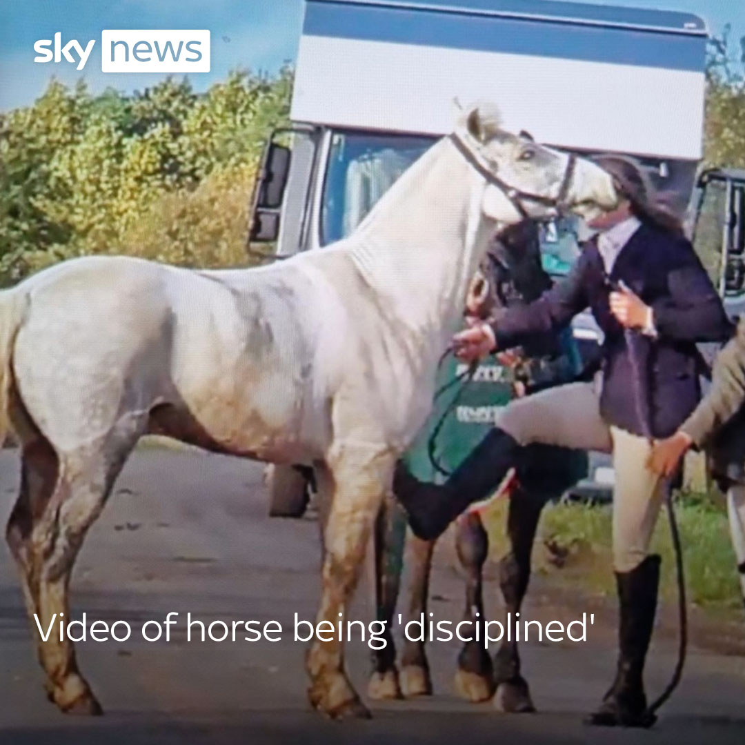 A former teacher has been found not guilty of animal cruelty after video footage showed her kicking and slapping a horse. Read more: