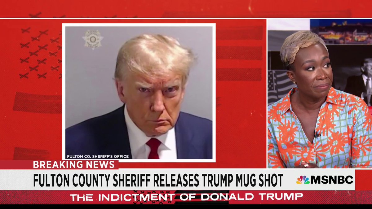 Professional race-baiter Joy Reid says of Trump mugshot: “I despised Donald Trump because he signified the rich White guy in Manhattan.”
