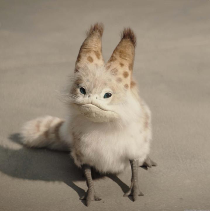 This is a Loth-cat appreciation post. #Lothcaturday The first two episodes of @AhsokaOfficial, a Star Wars Original series, are now streaming on Disney+.