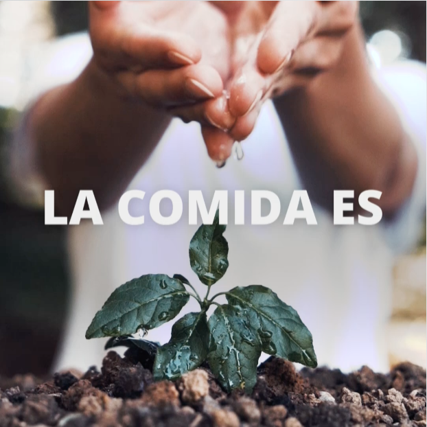 La alimentación es vida. La alimentación es cultura. La alimentación es nutrición. La alimentación es un derecho humano. Así trabaja WFP Español por un mundo de #HambreCero: