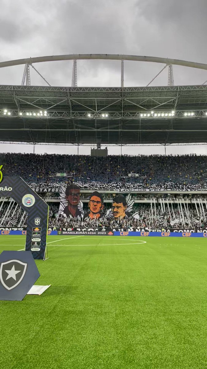 QUE FESTA! VAAAMOS, FAMÍLIA 🚀🔥 #VamosBOTAFOGO