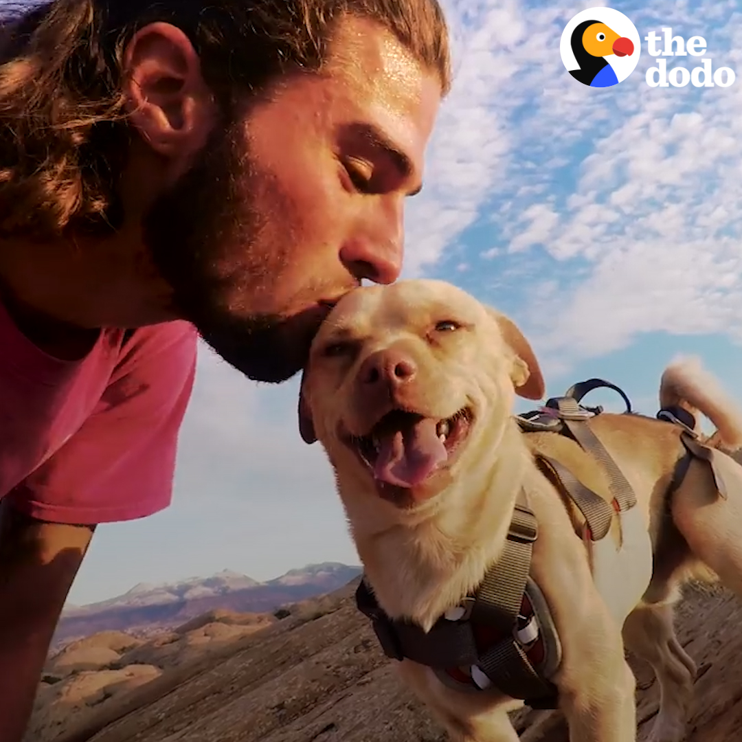 This guy was driving in the desert when he found a dog in the middle of the road. He had no idea that he had just found the most FEARLESS adventure buddy ever — who was even down to jump off a cliff with his dad!