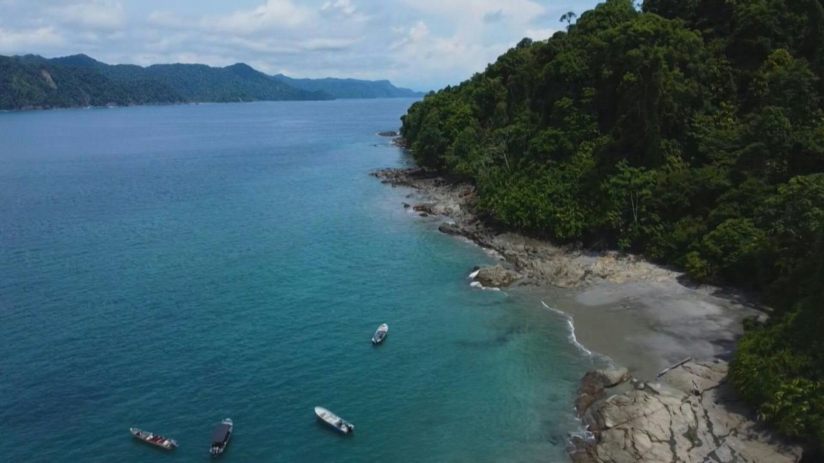 VIDEO: Facing the blue waters of Colombia's Pacific Ocean, businessmen set their sights on a giant port, but were met with resistance from Afro-Colombians and indigenous people from the Choco region, who successfully stopped the project and preserved a piece of paradise.