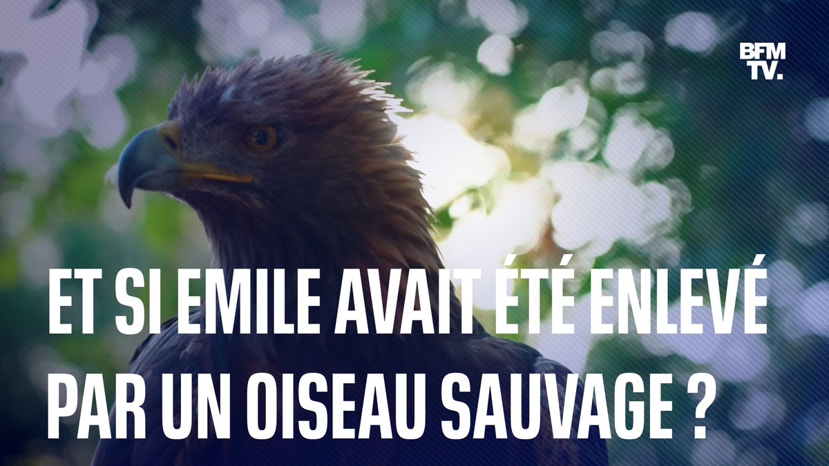 Et si le petit Emile avait été enlevé par un oiseau sauvage? #LigneRouge