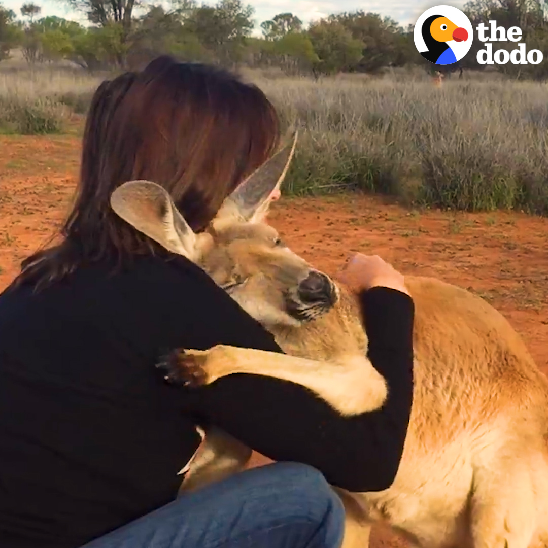 Animals make the world magic 💫💫💫