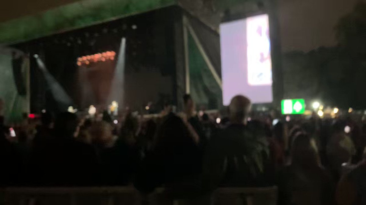 the boys reacting to the audience’s pictures of their dogs🥹🥹
