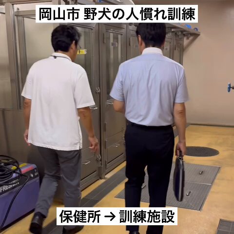 【岡山市のZOOねるパーク】 保護犬の中でも人に慣れていない野犬等は譲渡が困難ということから譲渡不適切として殺処分されることがあります。 BUTBUTBUT 訓練をすることによってこんなにも変わることを知っていただきたいです。 とても素敵な活動で感動しました。 #動物はモノじゃない