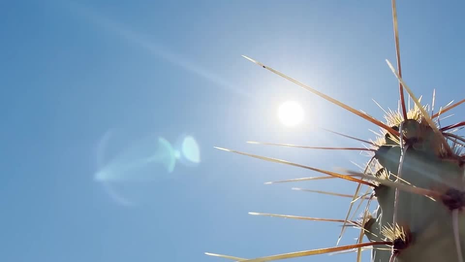 The city of Phoenix, Arizona, is facing another round of scorching summer heat, with temperatures hitting 116 degrees Fahrenheit. It's coming after 31-day streak of temperatures above 100 degrees Fahrenheit over the month of July