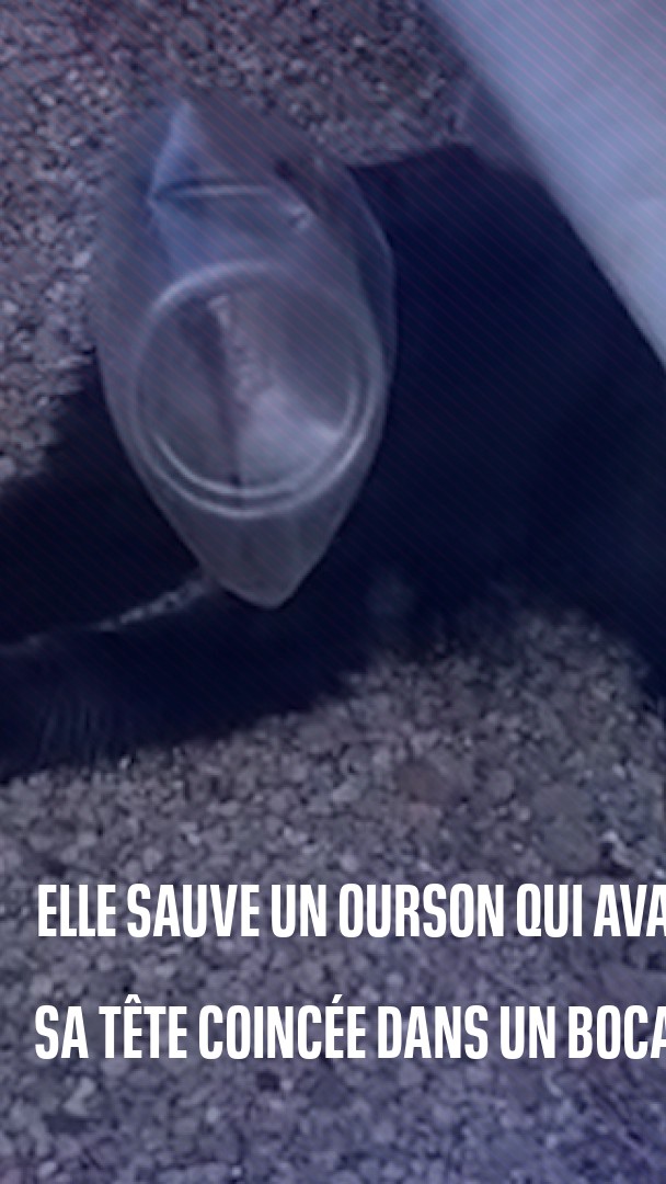 💚🧸 SMILE | Une américaine a sauvé un ourson qui avait sa tête coincée dans un bocal. 🥹 Une raison de plus de ne pas jeter vos déchets dans la nature !