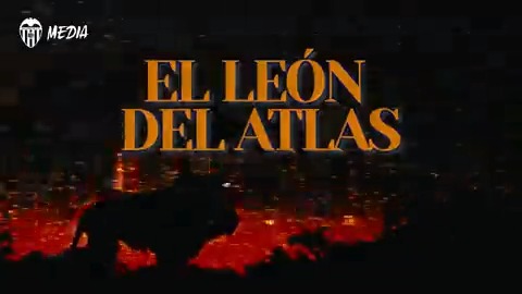 Un león entre murciélagos 🦁 #ADNVCF 🦇