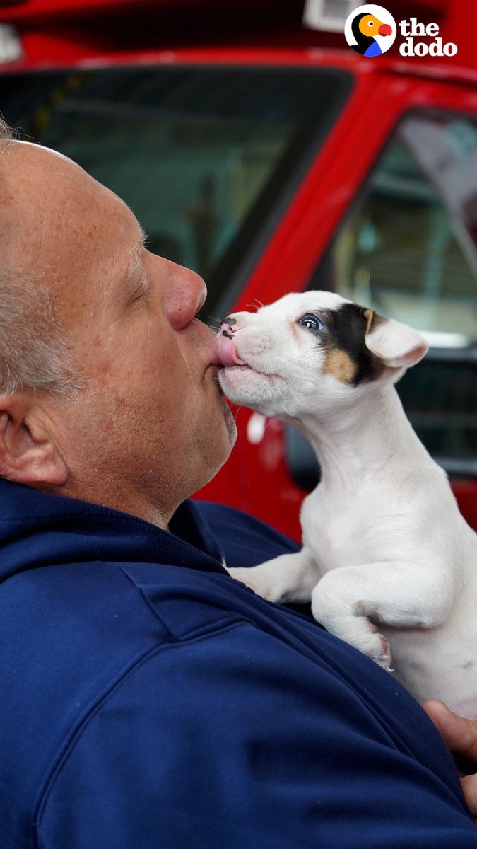 Tiny pittie gets adopted by the firefighter who saved her life — and loves coming back to the station with her new dad 💙