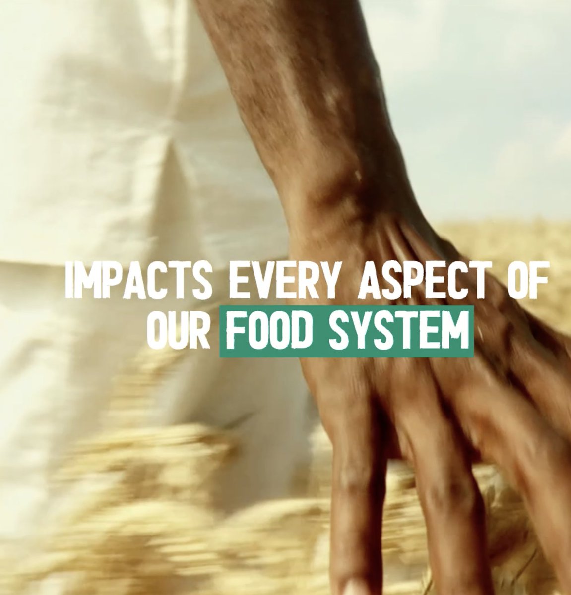 A daunting future: in the coming decades, we're looking at a 50% surge in food demand and a 30% drop in crop yields due to climate change. It is critical that we take #ClimateAction today.