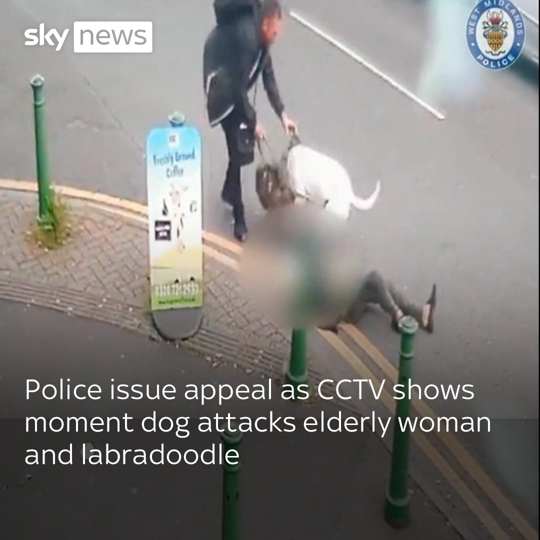 West Midlands Police have released shocking CCTV footage of the moment a dog attacked a labradoodle and badly injured its 76-year-old owner. Read more: