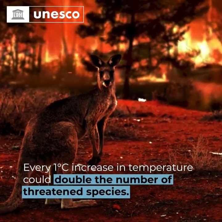 The new biodiversity hotspots report released by UNESCO & IUCN reveals #WorldHeritage sites harbour over 20% of mapped global species richness within just 1% of the Earth’s surface! Learn more on the importance of biodiversity via the report! #ForNature