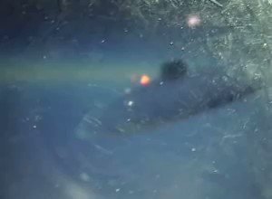 This famous 19-Sec UFO Footage Possibly taken from airplane window could be Greatest Leak: CGI Experts Say It Is the Real Deal. It was shot in late 90s or early 2000s. Click here to read more: #UFOtwitter #UAPtwitter #UAPs #UAP #UFOX #uapX