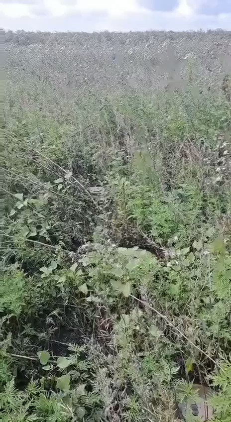 The density of mines in the #Zaporizhzhia direction