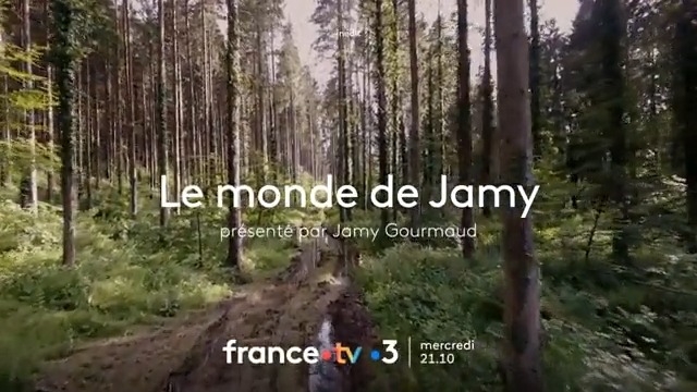 🔥 Incendies, réchauffement, surexploitation... 🌳 comment sauver nos forêts ? #LeMondeDeJamy fait sa rentrée ce mercredi ! Je vous attends au coin du bois, à 21.10 sur @France3tv 🤓