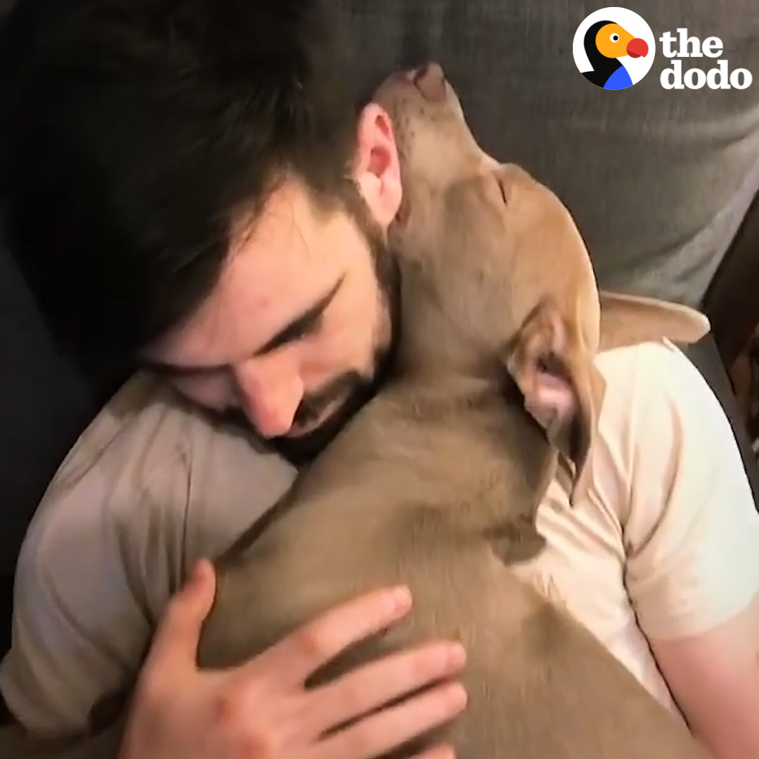 What every rescue dog wants you to know ❤️