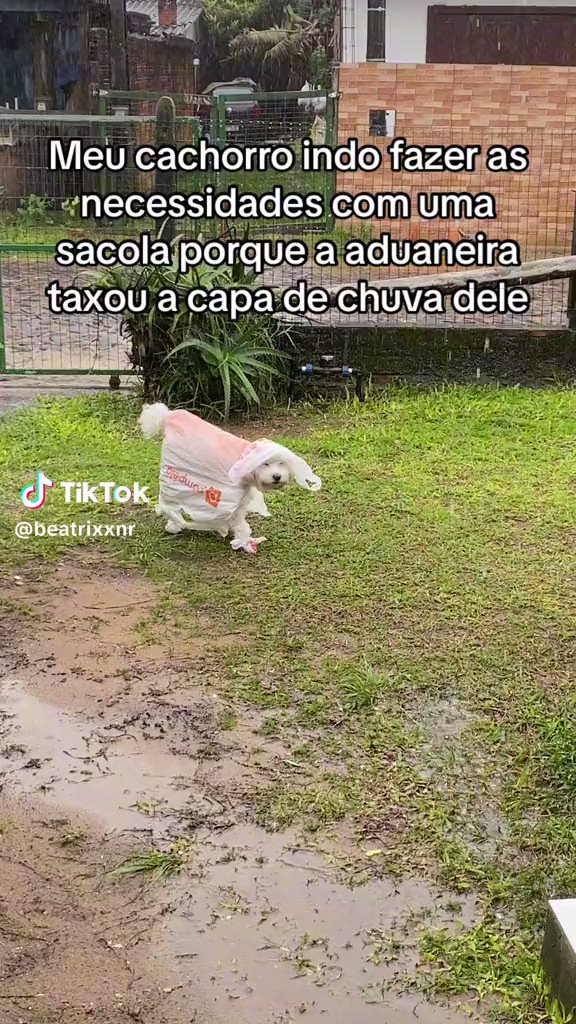agora a taxação das comprinhas da shein foi longe demais