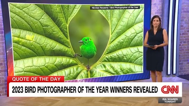 Extraordinary images from this year’s Bird Photographer of the Year award showcase the beauty of birds