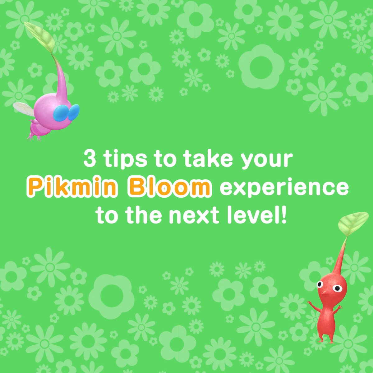 We’ve put together a little video of #PikminBloom tips ✨ If you’ve already been playing for a while, please comment below to let us know how long, and share with the community additional tips and tricks that you wish you knew about when you first downloaded the app!