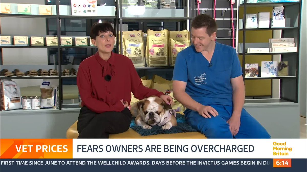 A watchdog has launched a review of vets in the UK after concerns pet owners could be paying too much. The competition watchdog said vet fees were rising faster than other goods and services during the cost of living crisis.