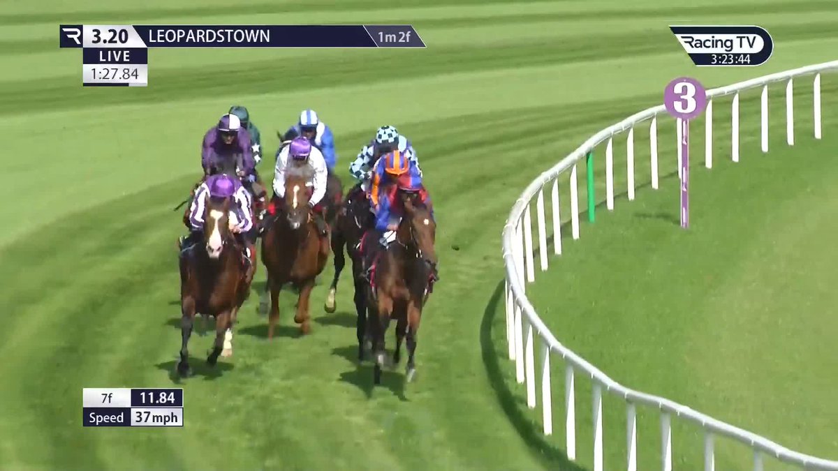 Redemption for Auguste Rodin in a thrilling €1.25m Royal Bahrain Irish Champion Stakes! Bahrain Turf Club Leopardstown RC #オーギュストロダン | #ディープインパクト | #競馬