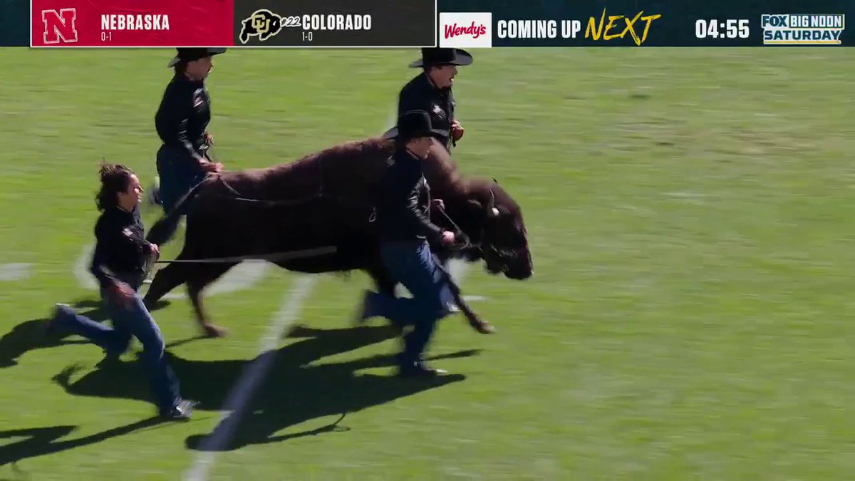 Ralphie truly is an elite mascot