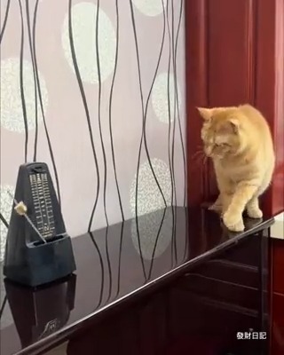 got the beat