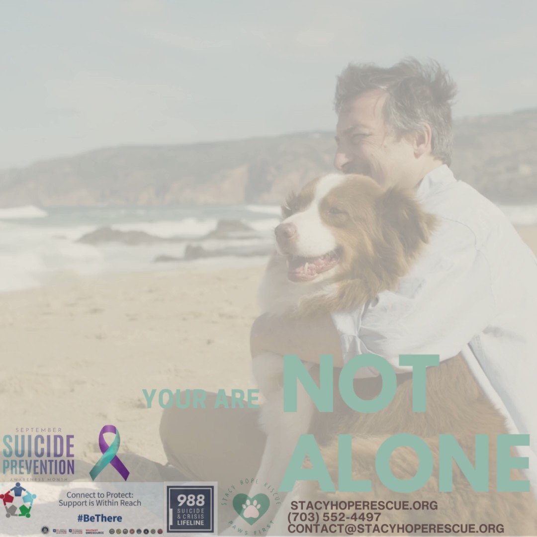 #SuicidePrevention #ptsd You are NOT ALONE ✨🥹 Stacy Hope Rescue is committed to providing #emotionalsupportdogs and ensuring that you have a constant companion who offers no judgment, just unconditional love. In crisis, call or text 988 anytime. #YouMatter #YouAreNotAlone