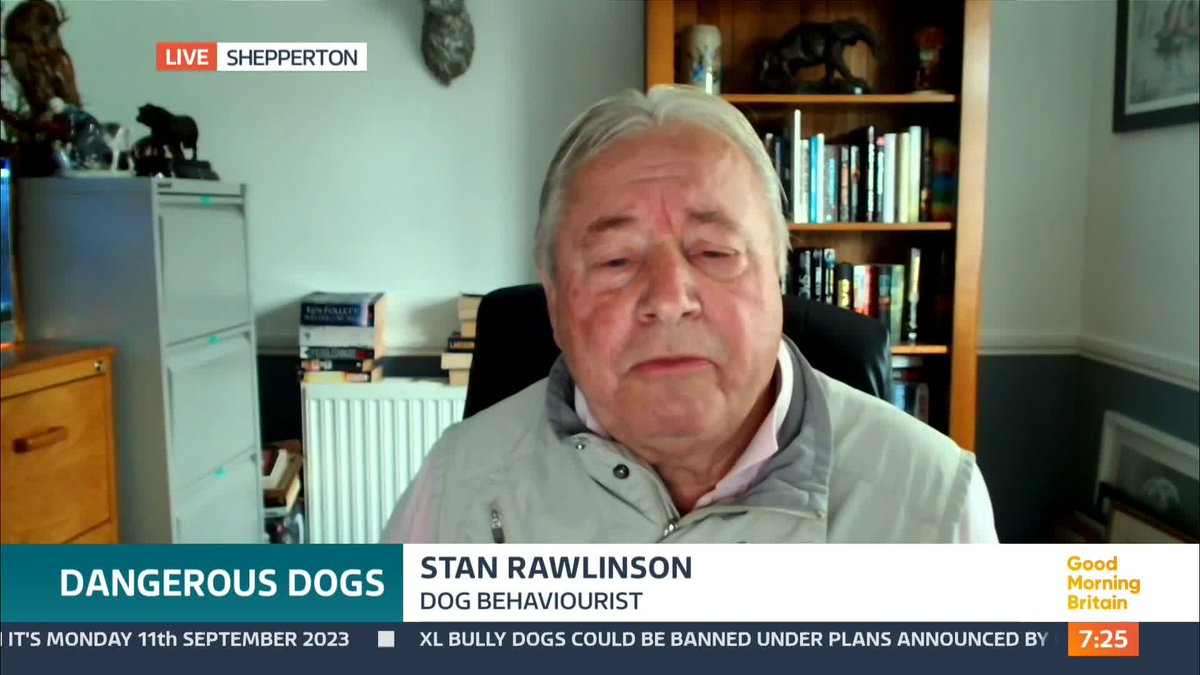 '75% of those deaths were caused by XL Bullies. That is ludicrous, that is totally off the scale.' Dog behaviourist Stan Rawlinson explains why he thinks American XL Bullies need to be banned.