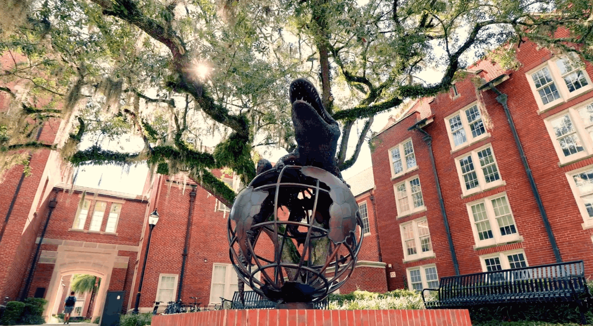 Elite education. Exceptional community. Extraordinary practicality. 🐊