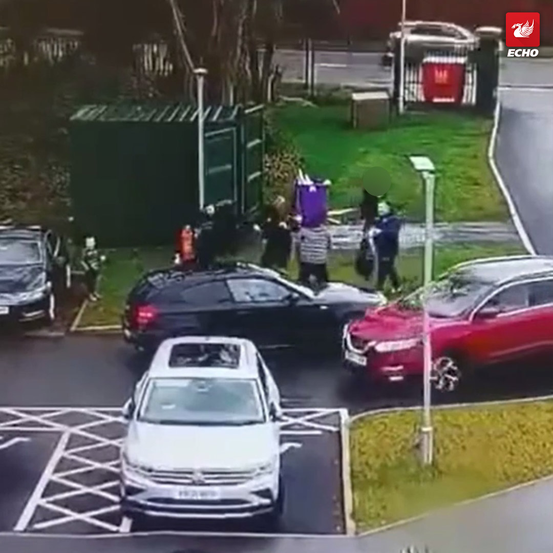 Referee punched by spectator after under-7s match