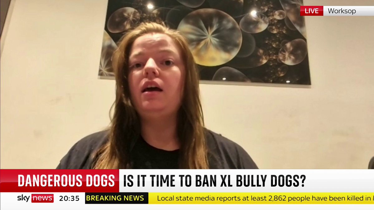 Banning XL bully dogs "is just not right," says breeder of American bulldogs, Georgina Matthews. The answer is to "have licences in place on who can own the dogs", she adds. 📺 Sky 501, Virgin 602, Freeview 233 and YouTube
