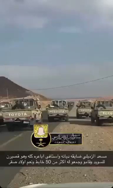 موقف شمر مع الشمري اللي باع نياقه بسبب الدين وجمع عدد ابل مماثل ويهدونه ويعوضونه يعتبر من التكاتف الاجتماعي ومن الامور اللي تفتخر فيها القبائل في الجزيرة العربية هنا لابد من الثناء ونقول (حيكم ياشمر )🤍🇸🇦