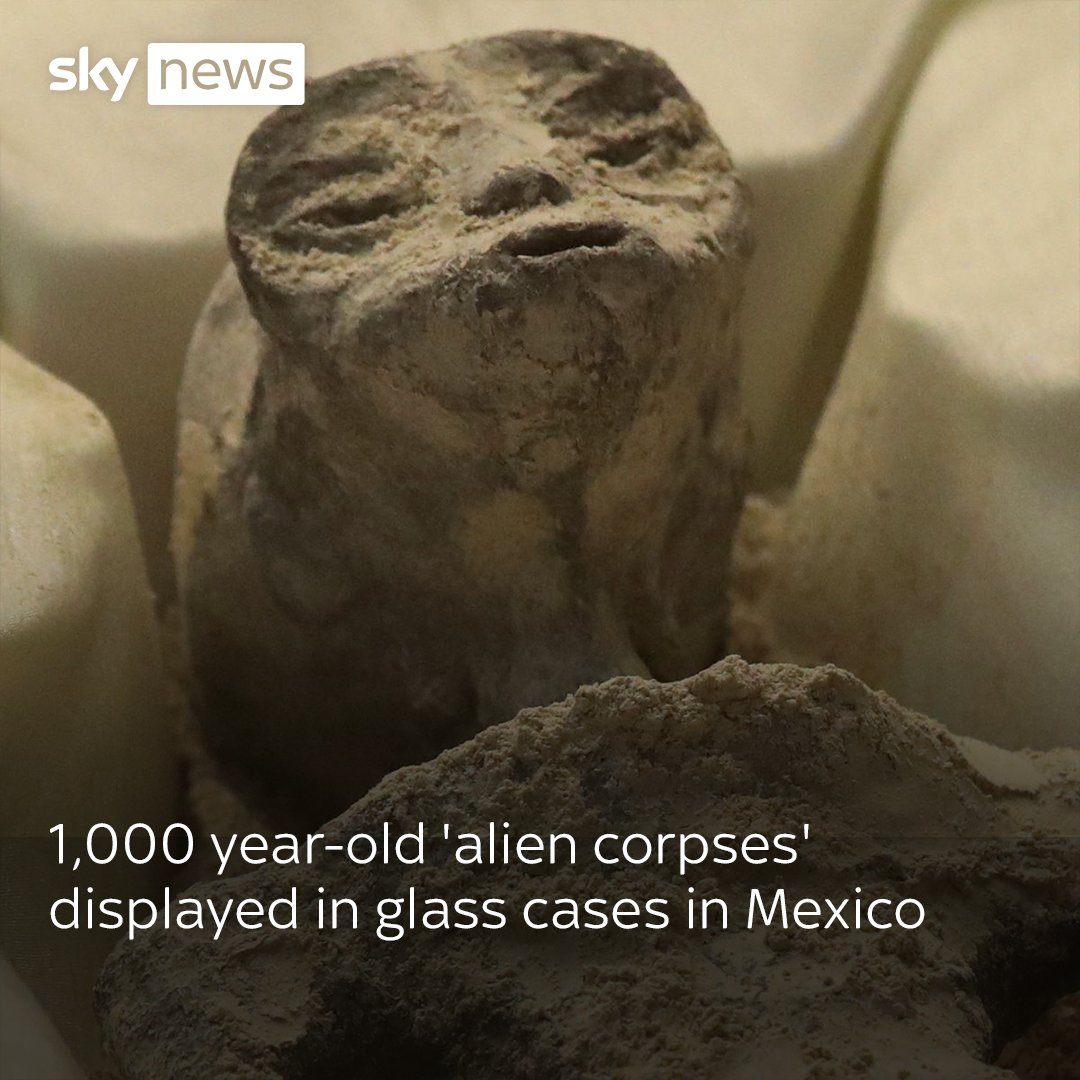 Two alleged alien corpses have been shown to Mexican politicians. A journalist and UFO enthusiast testified under oath about the estimated age of the mummified specimens and the techniques used by scientists to examine them. Read more here: