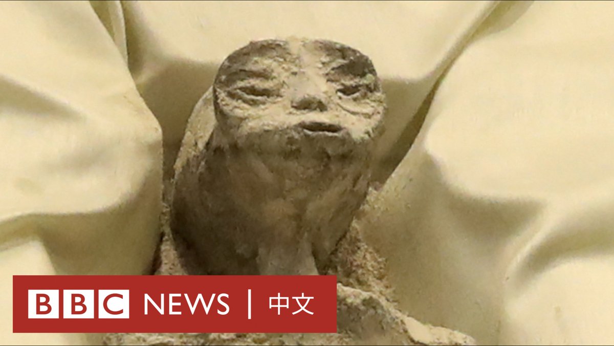 你想象中的外星人是这样的吗？👽 墨西哥国会在一场听证会上，邀请不明飞行物爱好者展示了两具所谓外星生命的遗骸，其据称在秘鲁被发现，距今约有1000年的历史。 事件在社交媒体上引发热议，不少网友对遗骸真实性提出质疑。