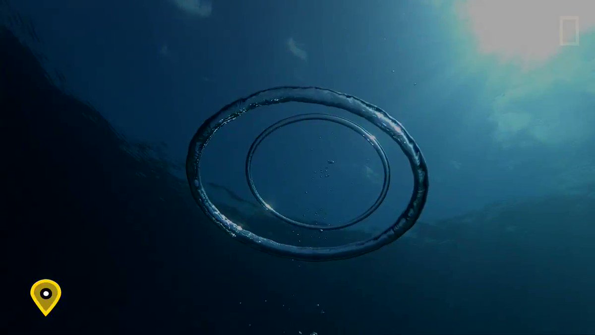 Take 30 seconds to watch as two mesmerizing water bubbles crash into each other
