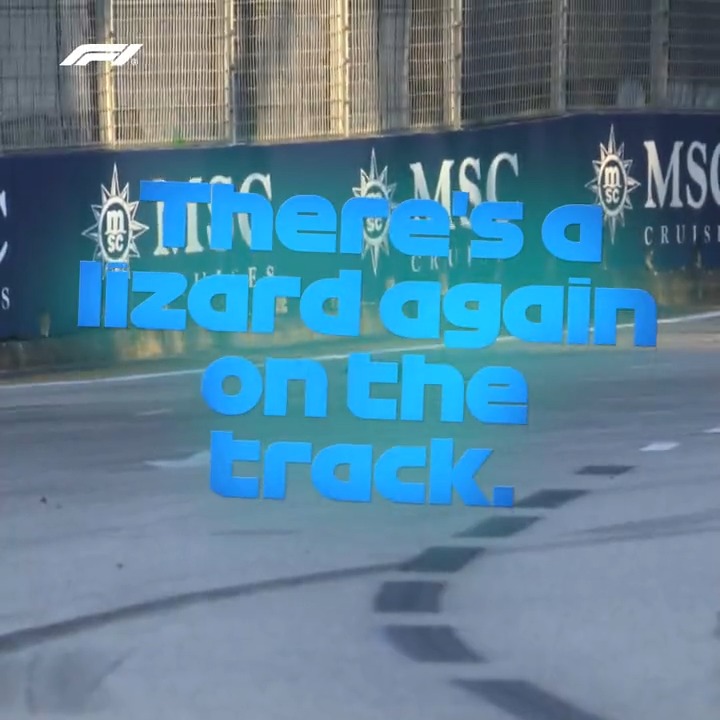 Lizard alert! 🦎 First practice saw some unexpected visitors to the track 😄 #F1 #SingaporeGP