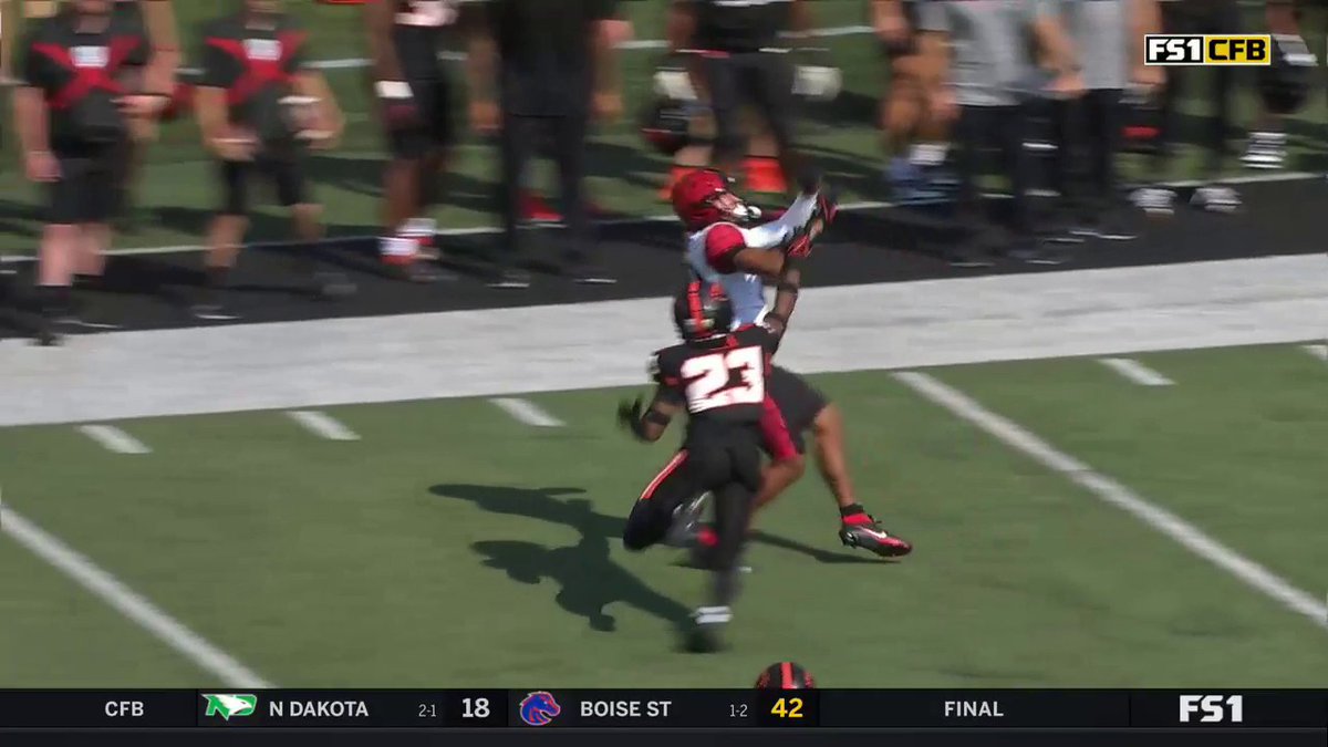 This angle of this catch 🔥🔥 Baylin Brooks 23’ x San Diego State Football
