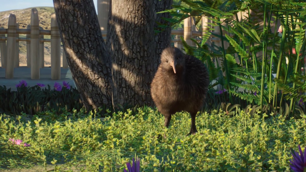 Hey, take a look over through the lush forests, it's the North Island Brown Kiwi! This flightless bird needs protecting as their nests are vulnerable to a lot of predators. Our conservation program will be perfect for keeping them safe before releasing them back into the wild!