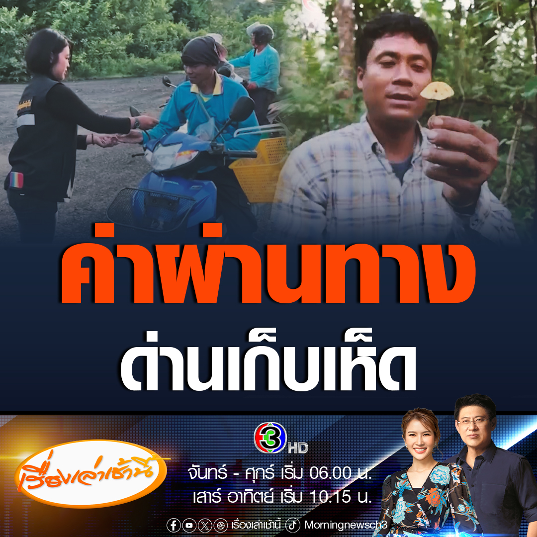 #เรื่องเล่าเช้านี้ เลขาฯ ป่าชุมชนเจริญสุข แจงดรามาด่านเก็บเงินค่าเห็ด ป่าเขาอังคาร คนละ 20 บาท เผยเป็นค่าใช้บริการ โดยจะนำไปเงินไปใช้ส่วนกลางในการพัฒนาแหล่งน้ำ ปลูกป่า ทำแนวกันไฟ และเป็นกุศโลบาย สร้างจิตสำนึกให้คนมาเก็บเห็ดที่เดินทางมาจากต่างถิ่น #ข่าวช่อง3 #เก็บเห็ด