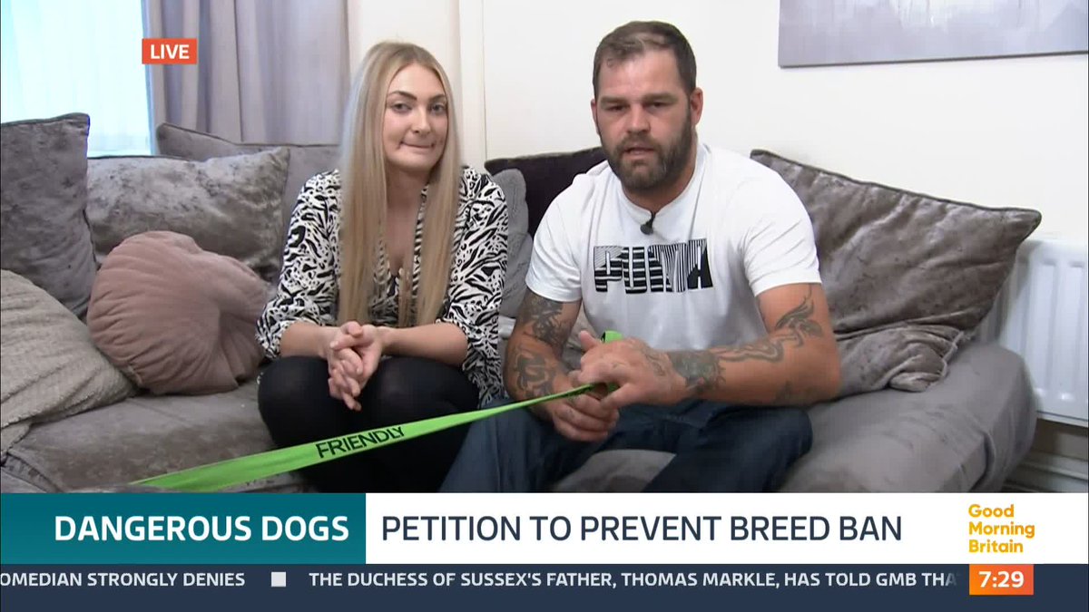 'It's not just because of the breed, you should be looking at the owner of the breed and how they bring the dog up.' Alicia and Nick believe that XL Bully dogs shouldn't be banned, and say it is unfair to muzzle their dog when he has done nothing wrong.