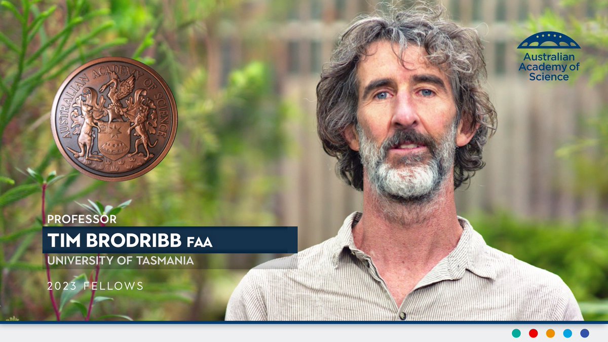 The tension is gripping, and Prof Tim Brodribb FAA loves it. He studies the tug-of-war between forces as plants draw water up from the soil. His team use cameras mounted on leaves to observe the process in realtime. It's as thrilling as it is vital. University of Tasmania