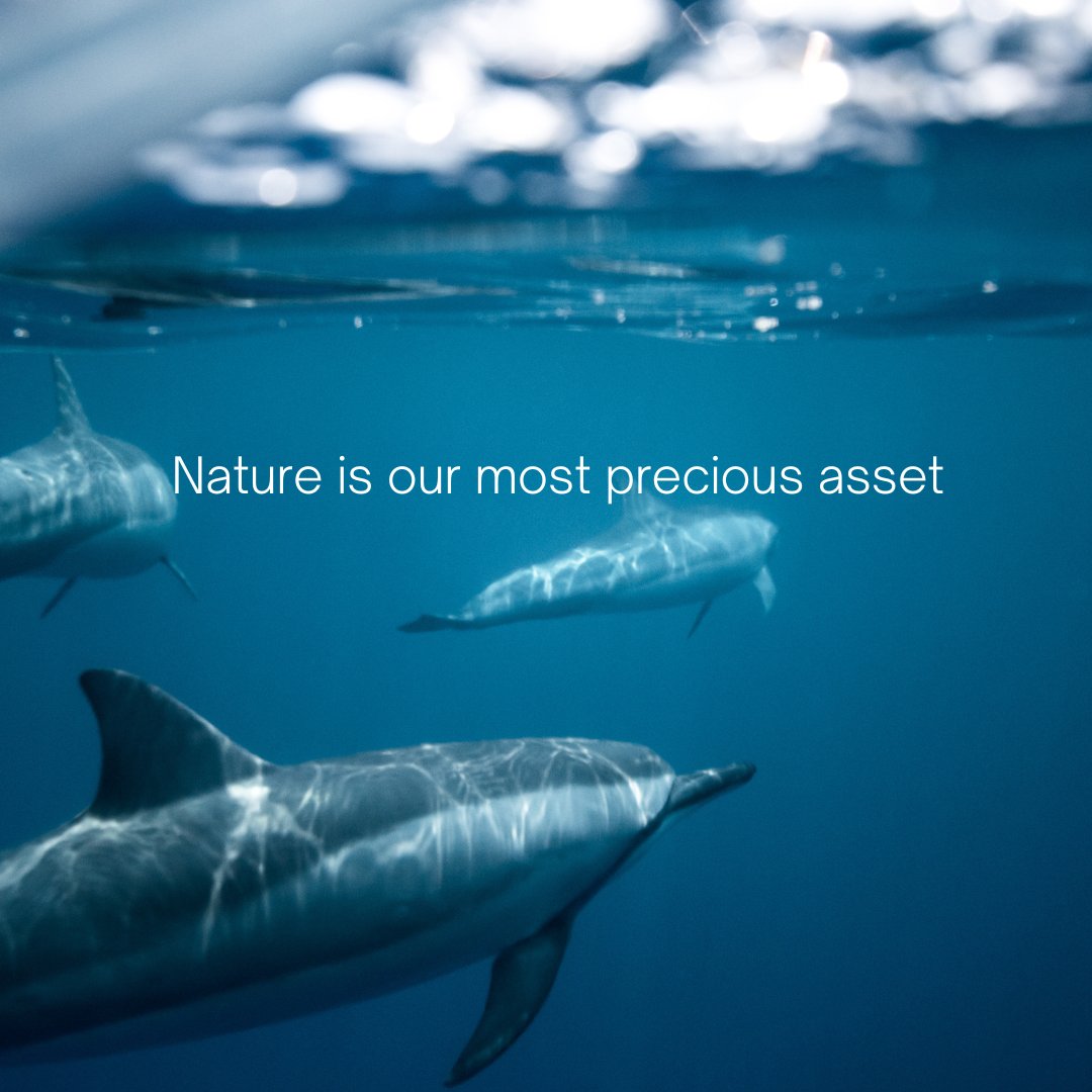 The air we breathe. The water we drink. The food we eat. Our medicines. Our livelihoods. Earth’s ecosystems have extraordinary value & humanity’s survival depends on them. To protect our planet & future, countries must transform economies #ForNature.
