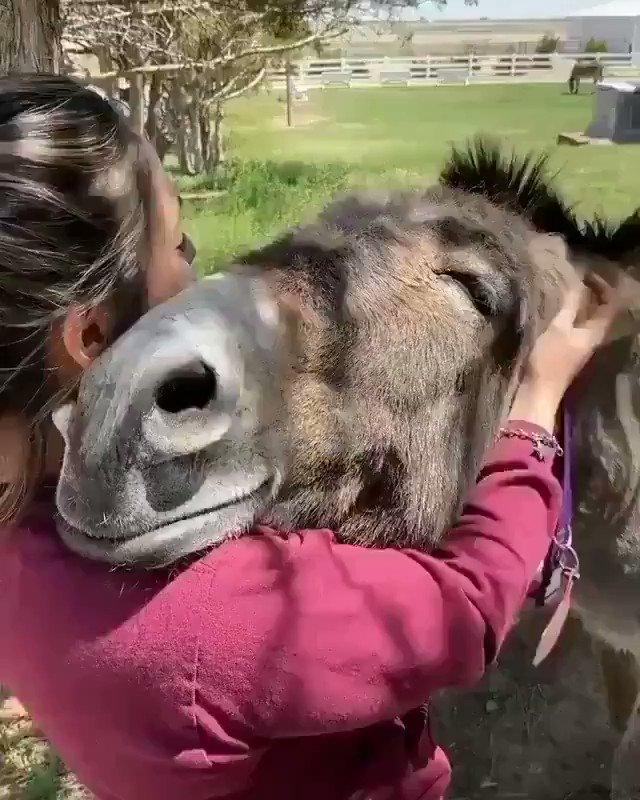In a world where you can be anything, be kind.. 😊 🎥 IG: fortheloveofass_