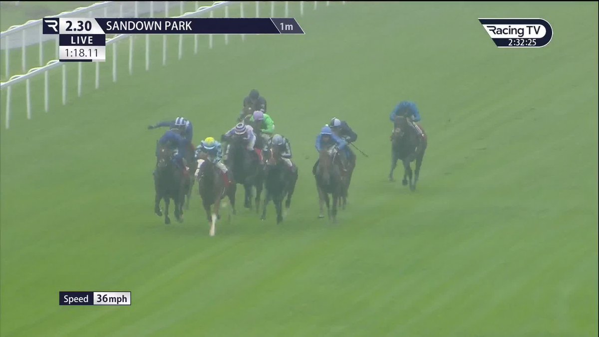 😍 Taking debut 750,000gns purchase Dambuster is a full-brother to G3 scorer Boomer & the son of Kingman impresses in the driving rain at Sandown Park for Andrew Balding Oisín Murphy | Chasemore Farm