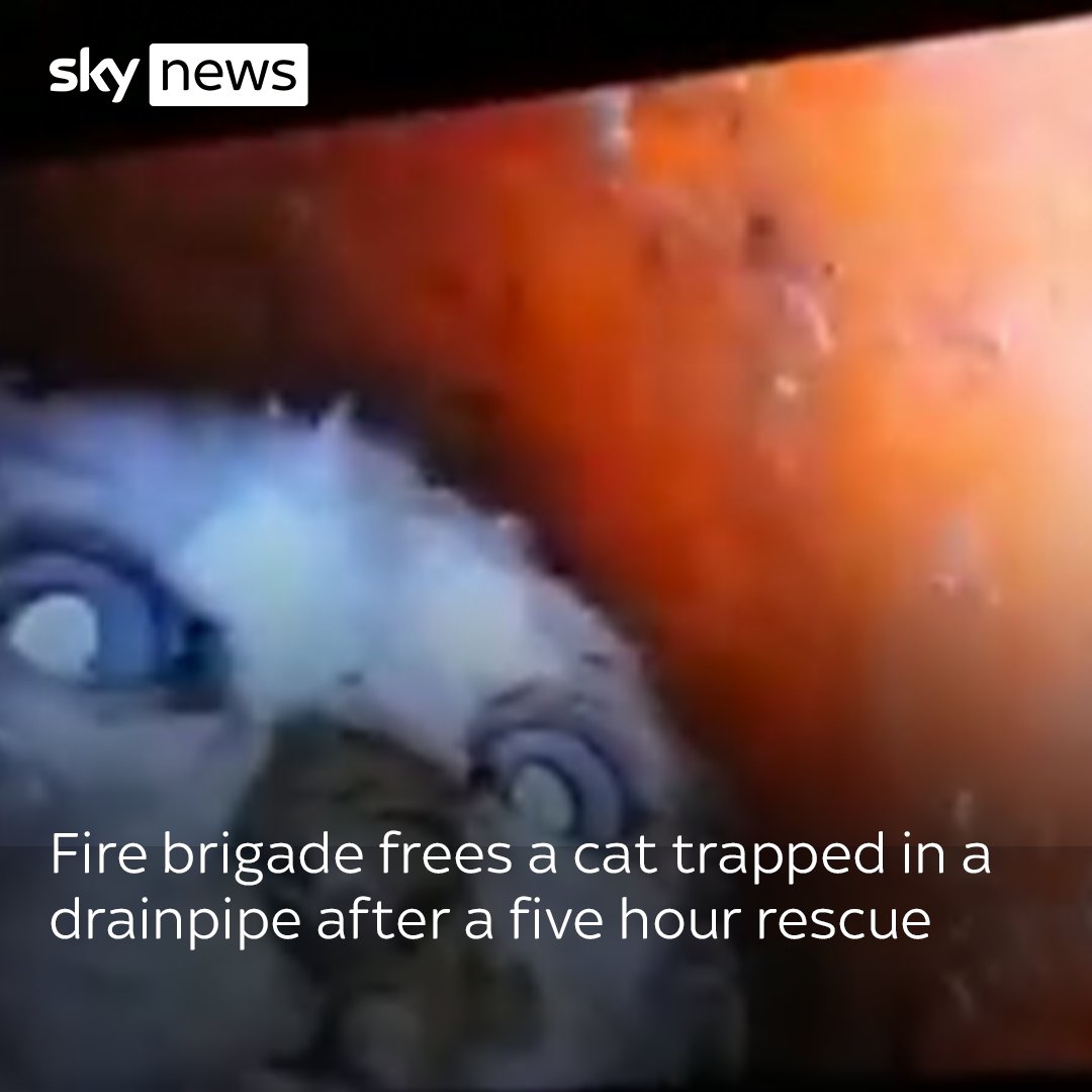Fire services rescue a cat trapped in a drainpipe in Lucca, Italy. 😿 The rescue took more than five hours, but the feline was eventually freed and taken to a vet. Read more: